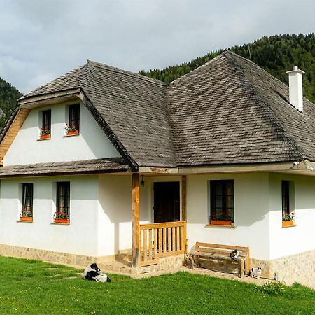 Pensiunea Hodaita Măgura Extérieur photo