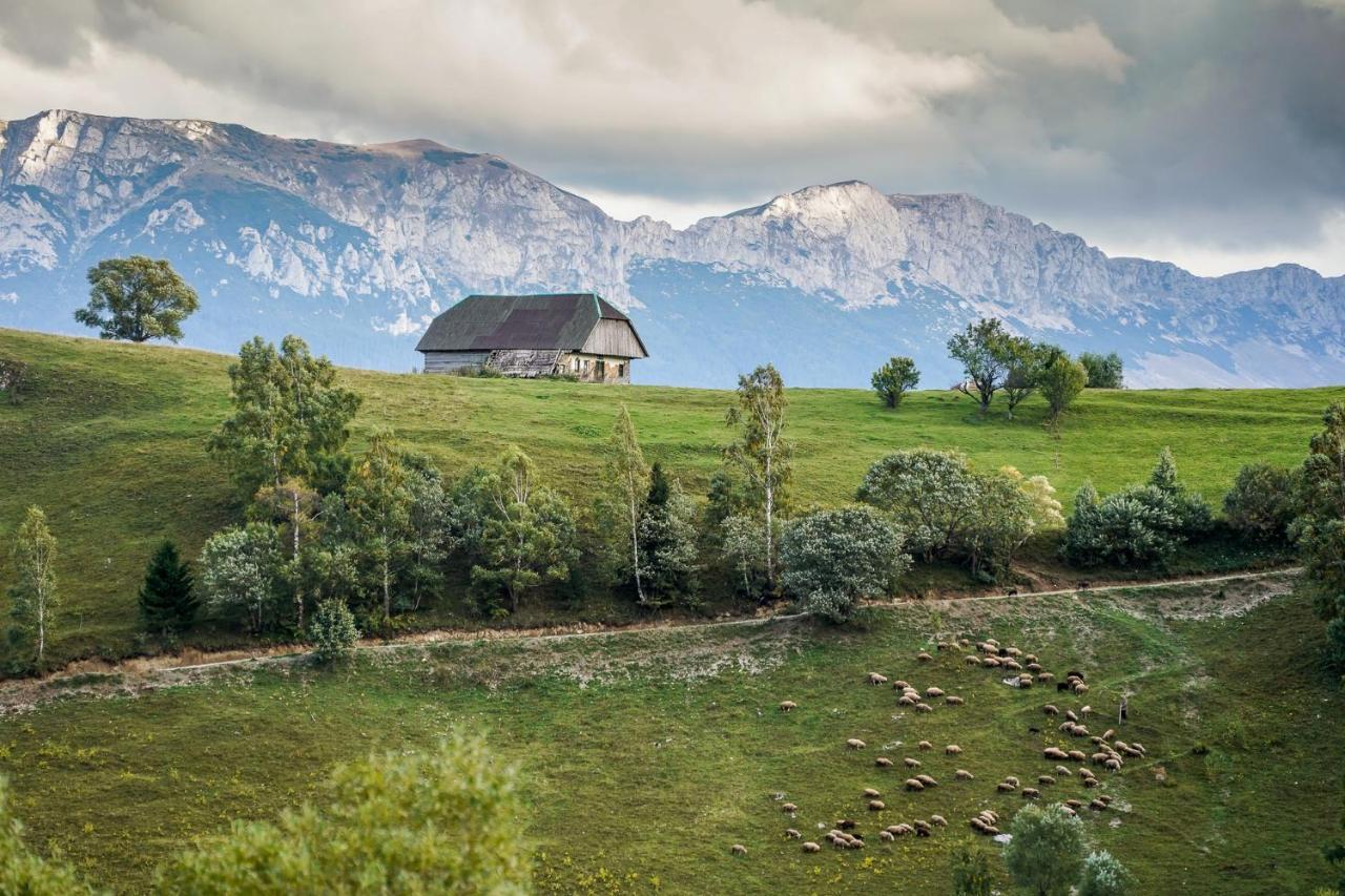 Pensiunea Hodaita Măgura Extérieur photo