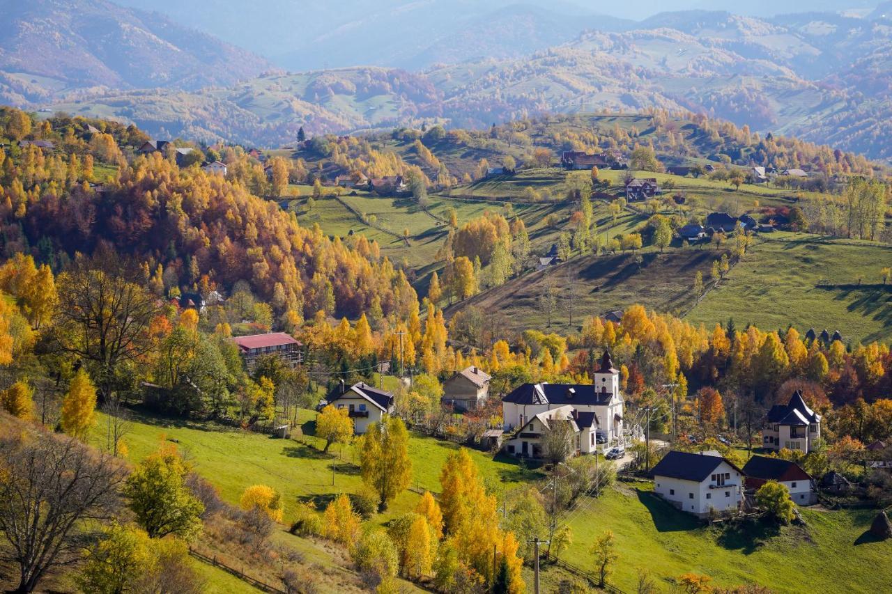 Pensiunea Hodaita Măgura Extérieur photo