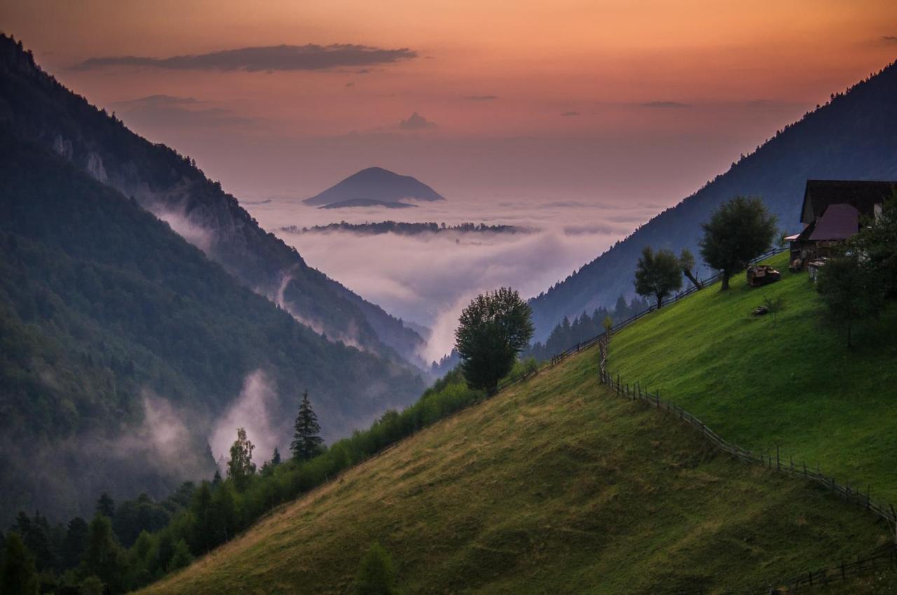 Pensiunea Hodaita Măgura Extérieur photo