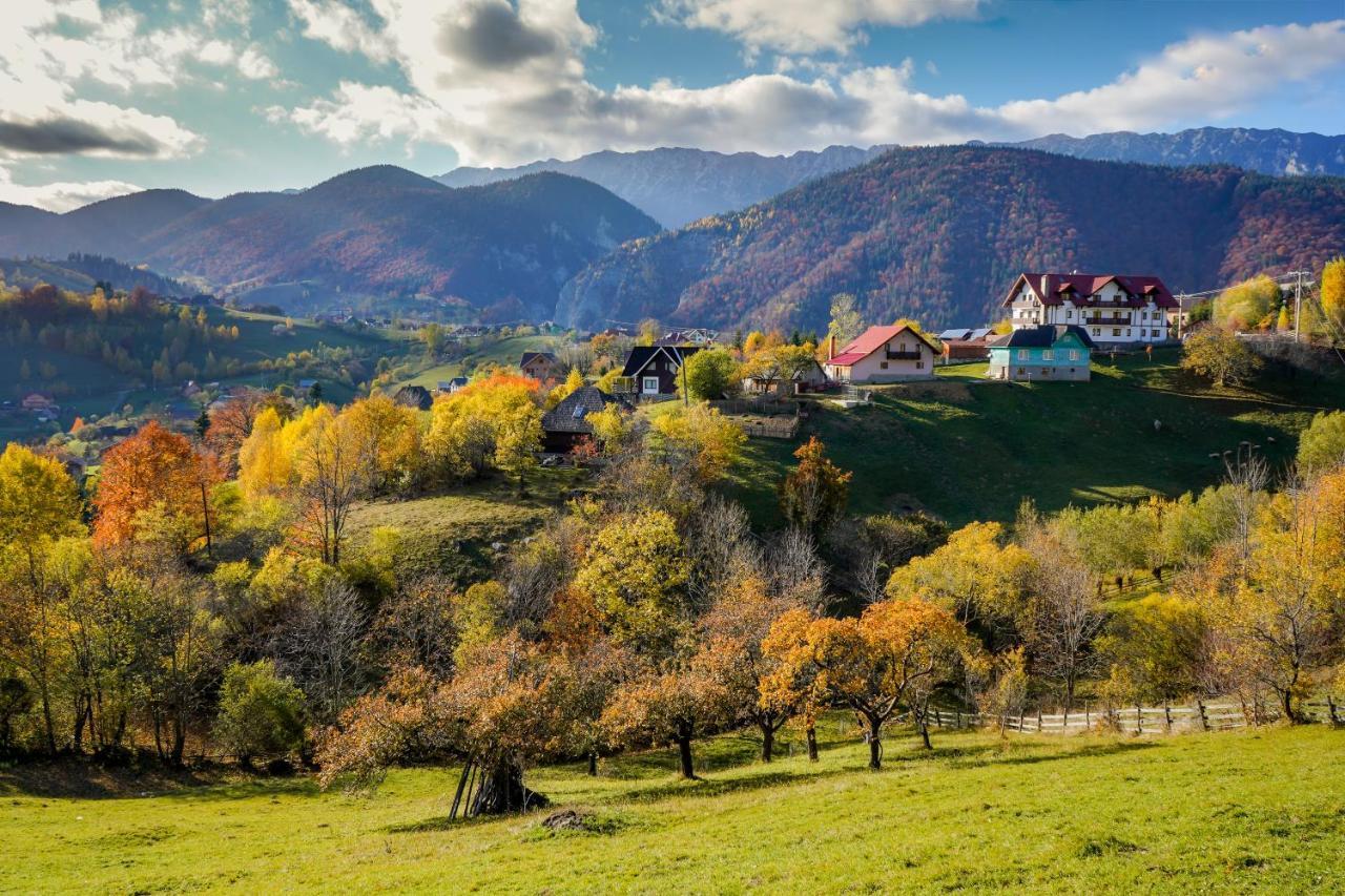 Pensiunea Hodaita Măgura Extérieur photo