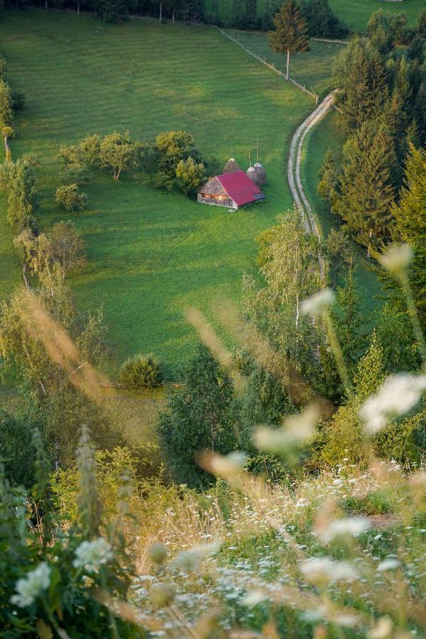 Pensiunea Hodaita Măgura Extérieur photo