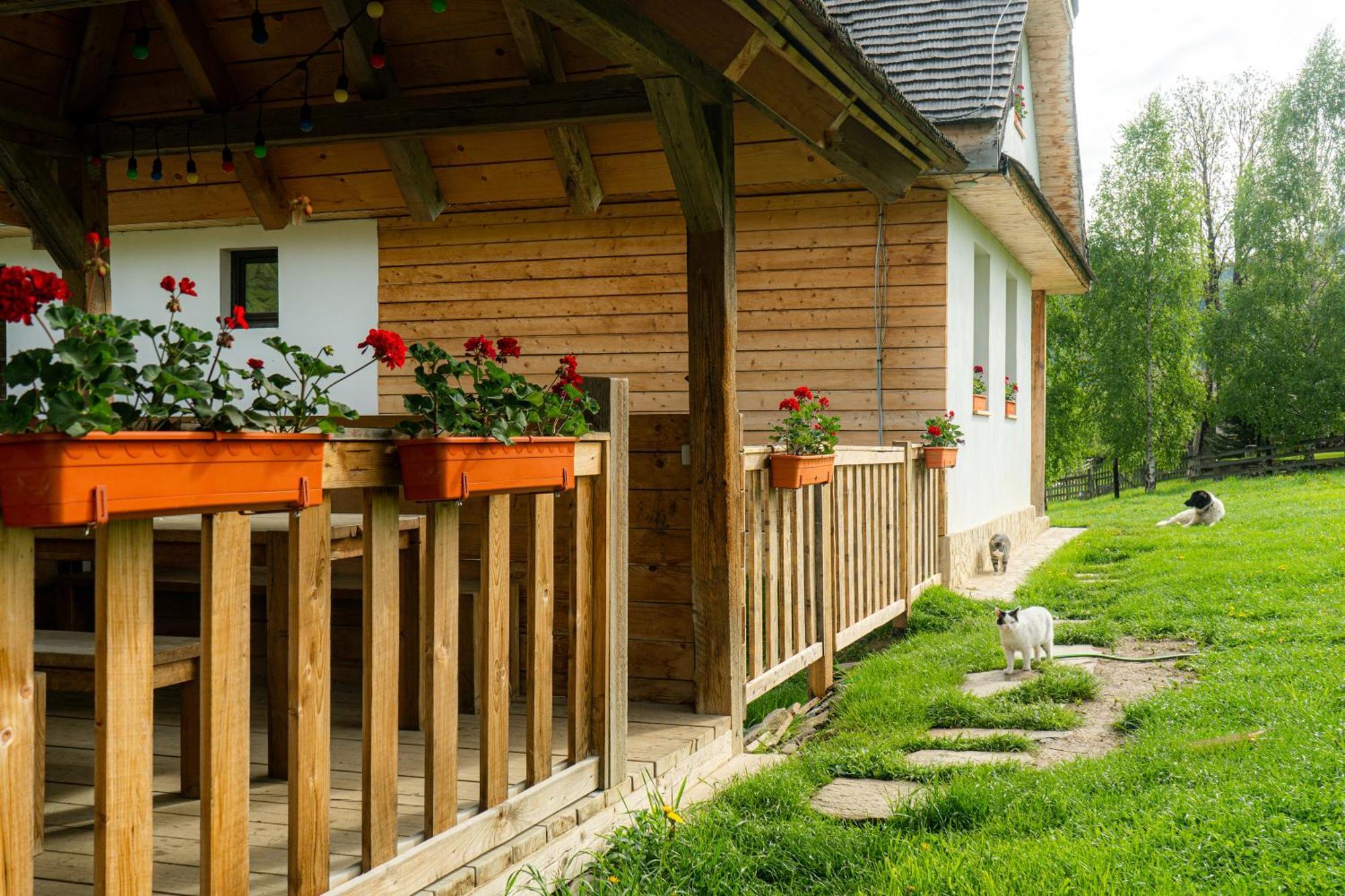 Pensiunea Hodaita Măgura Extérieur photo